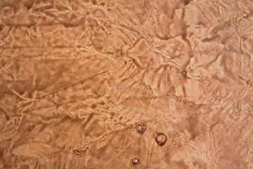 Old paper texture