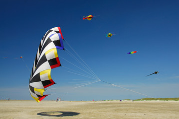 Flugdrachen am Strand 144