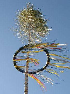 Maibaum