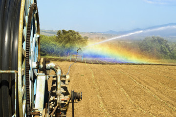 campo agricolo irrigato