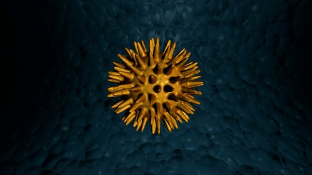 virus