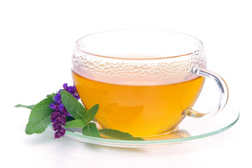 Tee Salbei - tea sage 06