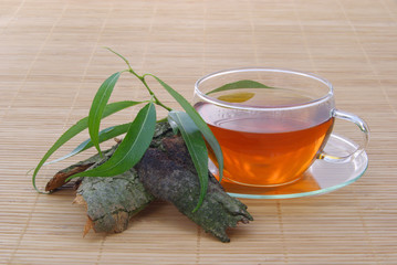 Tee Weidenrinde - tea willow 01