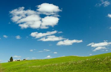 Fototapeta premium Beautiful Green Meadow with white cloud
