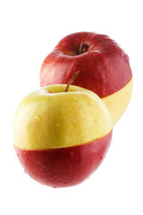 The creative apple