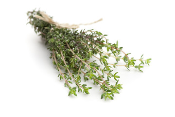 Thymian diagonal auf weißem Hintergrund