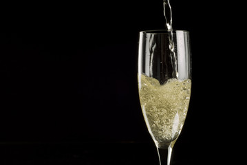 Single champagne flute filled with sparkling wine