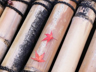Autumn leaves on bamboo well cover