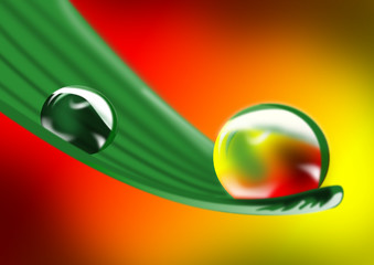 Blumenblatt mit Regentropfen