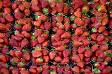 Strawberries
