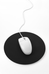 computer mouse