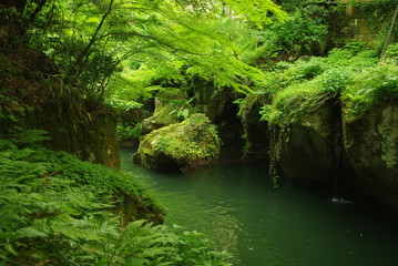 Naklejka premium 日本の渓流