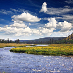 The scenery of Yellowstone National Park - 14568596