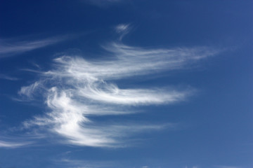 Federwolken am blauen Himmel - obrazy, fototapety, plakaty