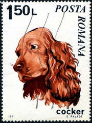 Posta Romana. Roumanie. Cocker. Timbre postal 1971.