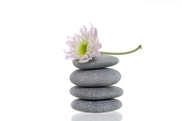 Zen spa stones with flower