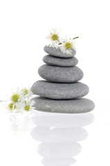 Fototapeta na wymiar Reflection of zen spa stones with flowers