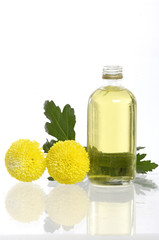 Spa bottles and yellow flower with reflection