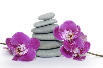 pyramid of stones with orchid