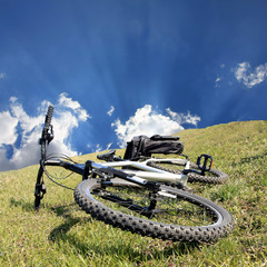 Naklejka premium Bike on grass