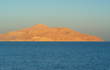 Sinai shore