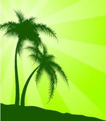 Green  background with palm trees. Vector illustration