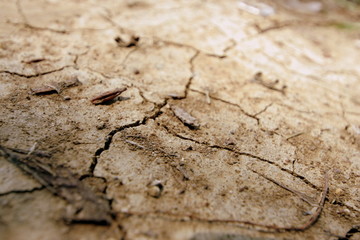 sfondo terra arida