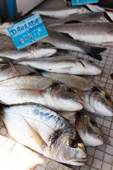 Seafood Bream