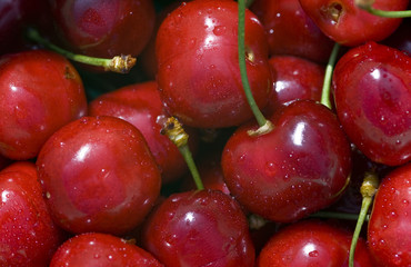 cerises