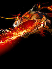 Naklejka premium Fiery dragon