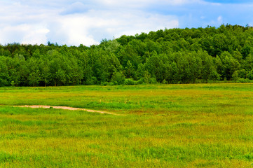 Landscape