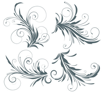 swirling flourishes decorative floral elements