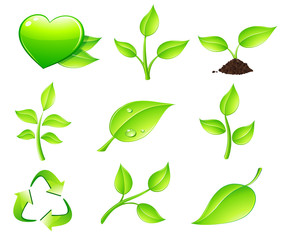 Fototapeta na wymiar Vector illustration of green ecology nature floral icon set