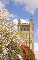 Fototapeta na wymiar view of Exeter cathedral with magnolia trees in blossom
