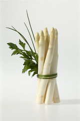 Spargel stehend mit Petersilie