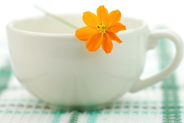 White Coffee Cup with Yellow Flower,Close-ups