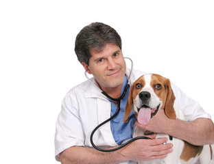 vet and dog