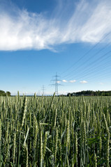 Getreidefeld mit Strommasten-Ökostrom-