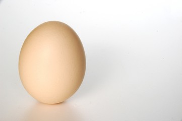 たまご