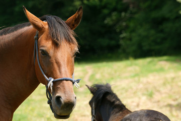 Obraz premium współudział