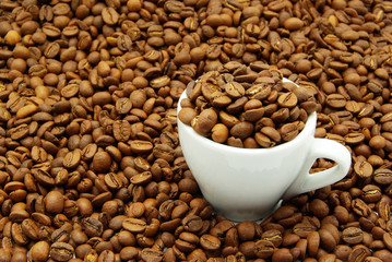 cup