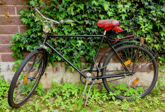 Fahrrad