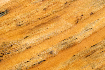 Obraz premium Wood texture