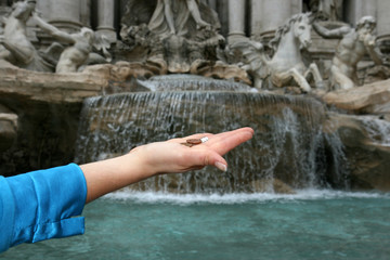 Fototapeta premium jet de pièces de monnaie à la fontaine de Trevi à Rome