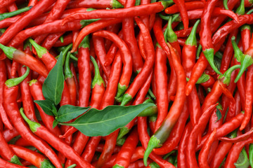 Red hot chili peppers