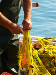 Obraz premium Fischfang