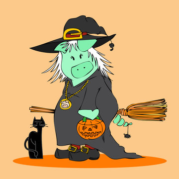 Halloween Witch pig