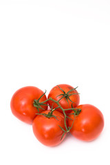 Red Tomatoes