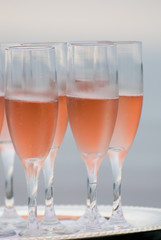 Champagne Glasses