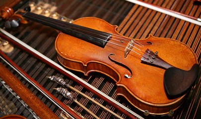 Fototapeta premium Violin